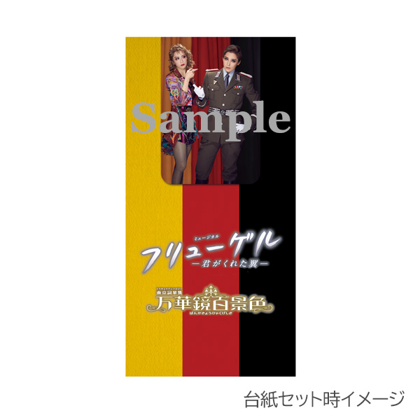 今だけセール 宝塚歌劇☆月組公演☆『フリューゲル ―君がくれた翼