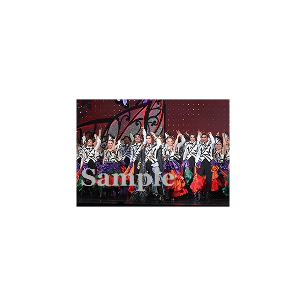 永久輝　他 舞台写真／花組大劇場公演『蒼月抄』『EL DESEO』