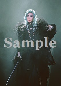 春野寿美礼 舞台写真／2002年花組大劇場公演『エリザベート』