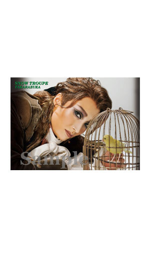 プログラム柄ポストカード／雪組「ひかりふる路（みち）～革命家、マクシミリアン・ロベスピエール～」「SUPER VOYAGER!」