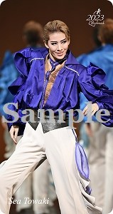 ブックマーク2023／永久輝せあ