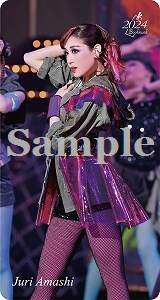 ブックマーク2024／天紫珠李