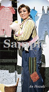 宙組 梅田芸術劇場シアター・ドラマシティ公演 ミュージカル・ロマン 大逆転裁判… 大逆転裁判』 ―新・蘇る真実― | 梅田芸術劇場