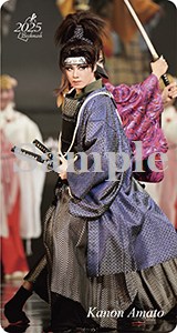 ブックマーク2025／天飛華音