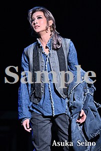 ポケットカレンダー2026／聖乃あすか