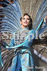 ポケットカレンダー2026／朝美絢