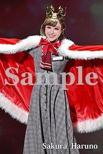 ポケットカレンダー2026／春乃さくら