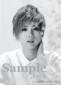 ポートレイトポストカード彩風10