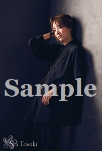 フォトブック7冊和希そら、瑠風輝、永久輝せあ、鳳月杏他 アート