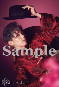 ポートレイトポストカード彩風22