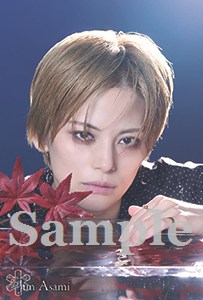 ポストカード・ブロマイド（公演ブロマイド以外）/ポストカード