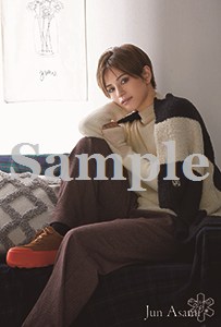 ロバート・デ・ニーロ 未開封含 １９作品 パンフレットポートレートポストカード付 ロバート・デ・ニーロ 未開封含 19作品 パンフレットポート
