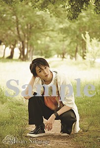 ポートレイトポストカード桜木16