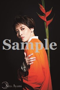 ポートレイトポストカード彩海2