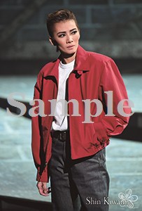 舞台フォトポストカード極美12