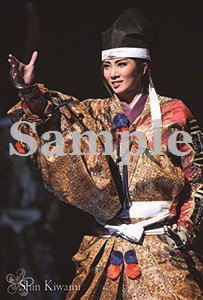 舞台フォトポストカード極美13