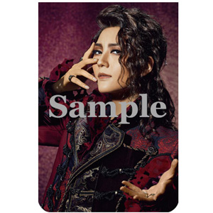 マグネットクリップ／宙組『PAGAD』『Sky Fantasy!』