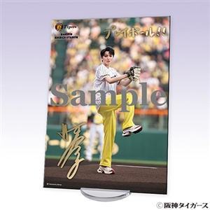 暁千星 阪神タイガース始球式記念アクリルフォトフレーム