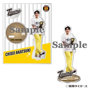 暁千星 阪神タイガース始球式記念アクリルスタンド