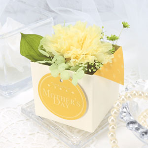 プリザーブドフラワー【イエロー】