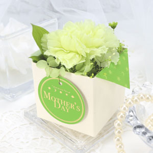 プリザーブドフラワー【グリーン】