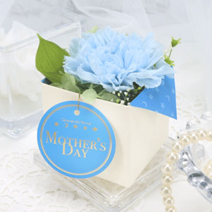 プリザーブドフラワー【ブルー】