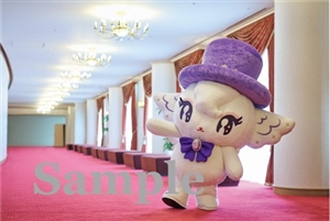 キャトルレーヴ キャラクターポストカード【Photo B】