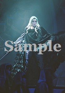 水夏希 舞台写真／2007年雪組大劇場公演『エリザベート』