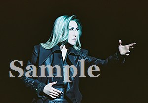 水夏希 舞台写真／2007年雪組大劇場公演『エリザベート』