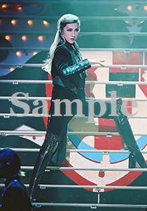 水夏希 舞台写真／2007年雪組大劇場公演『エリザベート』