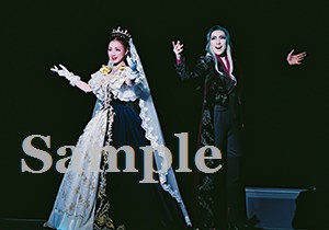 水・白羽 舞台写真／2007年雪組大劇場公演『エリザベート』