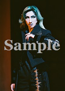 水夏希 舞台写真／2007年雪組東京公演『エリザベート』
