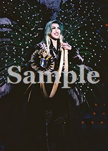 水夏希 舞台写真／2007年雪組東京公演『エリザベート』