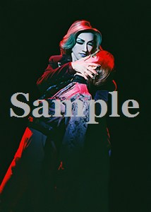水・凰稀 舞台写真／2007年雪組東京公演『エリザベート』