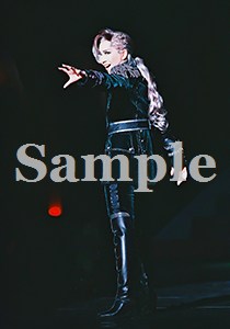瀬奈じゅん 舞台写真／2009年月組大劇場公演『エリザベート』