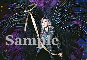 瀬奈じゅん 舞台写真／2009年月組大劇場公演『エリザベート』
