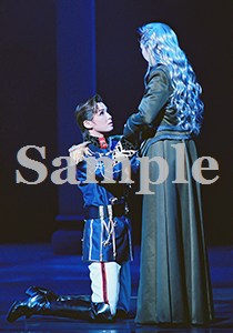 瀬奈・青樹 舞台写真／2009年月組大劇場公演『エリザベート』