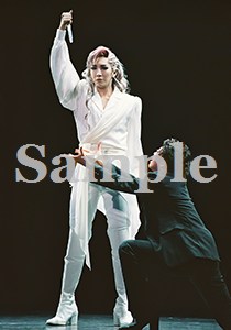 瀬奈・龍 舞台写真／2009年月組大劇場公演『エリザベート』