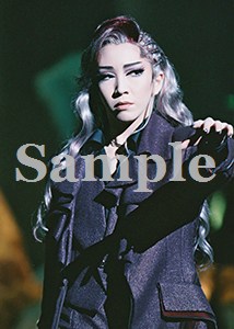 瀬奈じゅん 舞台写真／2009年月組東京公演『エリザベート』