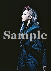 瀬奈じゅん 舞台写真／2009年月組東京公演『エリザベート』