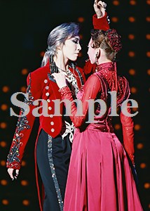 瀬奈・凪七 舞台写真／2009年月組東京公演『エリザベート』
