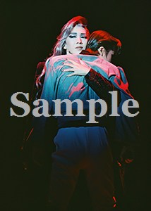 瀬奈・青樹 舞台写真／2009年月組東京公演『エリザベート』