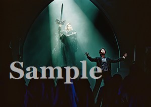 瀬奈　他 舞台写真／2009年月組東京公演『エリザベート』