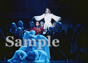 瀬奈　他 舞台写真／2009年月組東京公演『エリザベート』