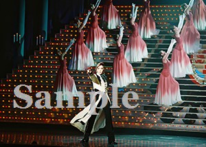 瀬奈　他 舞台写真／2009年月組東京公演『エリザベート』