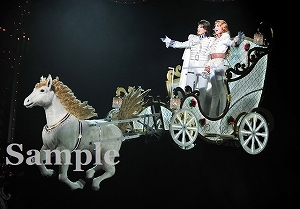 蘭寿・龍 特別出演舞台写真／月組大劇場公演『ベルサイユのばら』―オスカルとアンドレ編―