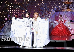 壮 他 特別出演舞台写真／月組大劇場公演『ベルサイユのばら』―オスカルとアンドレ編―