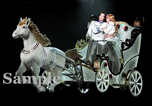 壮・龍 特別出演舞台写真／月組大劇場公演『ベルサイユのばら』―オスカルとアンドレ編―