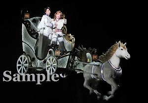 龍・明日海 役替わり舞台写真／月組大劇場公演『ベルサイユのばら』―オスカルとアンドレ編―