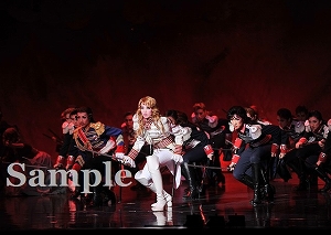 龍 他 舞台写真／月組東京公演『ベルサイユのばら』―オスカルとアンドレ編―